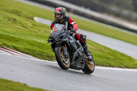 Oulton-Park-14th-March-2020;PJ-Motorsport-Photography-2020;anglesey;brands-hatch;cadwell-park;croft;donington-park;enduro-digital-images;event-digital-images;eventdigitalimages;mallory;no-limits;oulton-park;peter-wileman-photography;racing-digital-images;silverstone;snetterton;trackday-digital-images;trackday-photos;vmcc-banbury-run;welsh-2-day-enduro